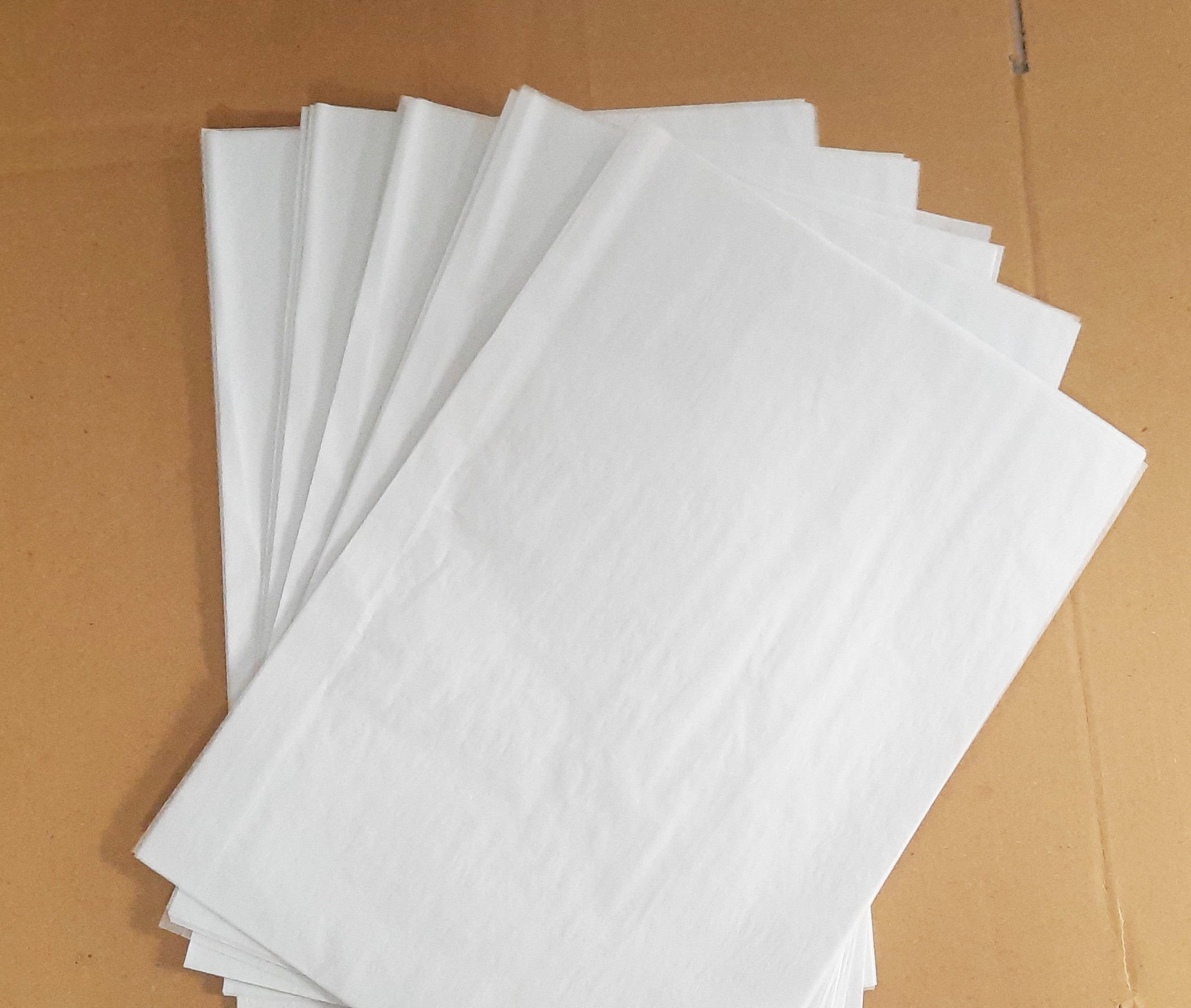Bí Quyết Chống Ẩm Mốc và Côn Trùng Hiệu Quả Cho Bao Bì Giấy