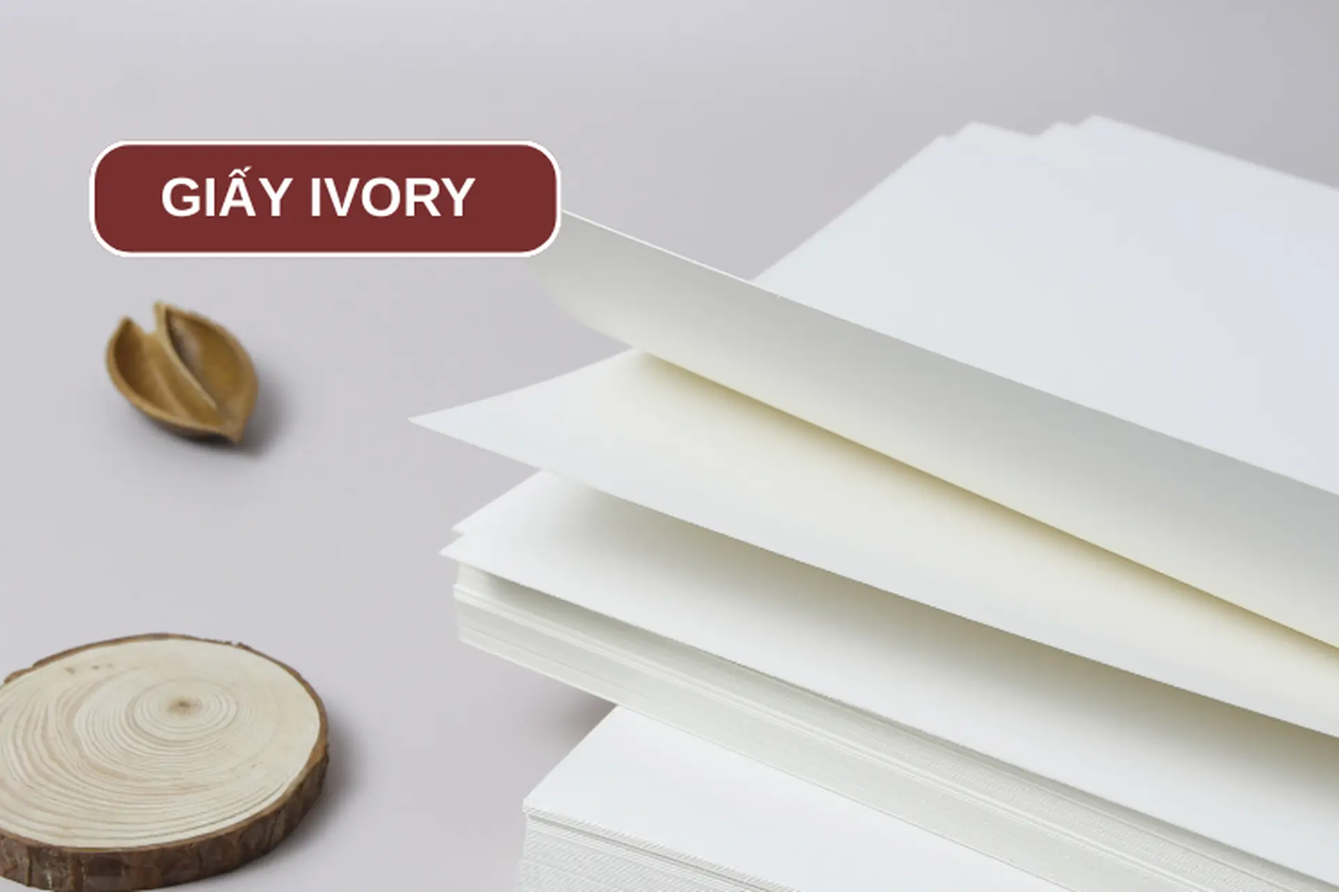 Giấy Ivory Là Gì? Phân Biệt Mặt Láng Mịn và Mặt Nhám Tự Nhiên