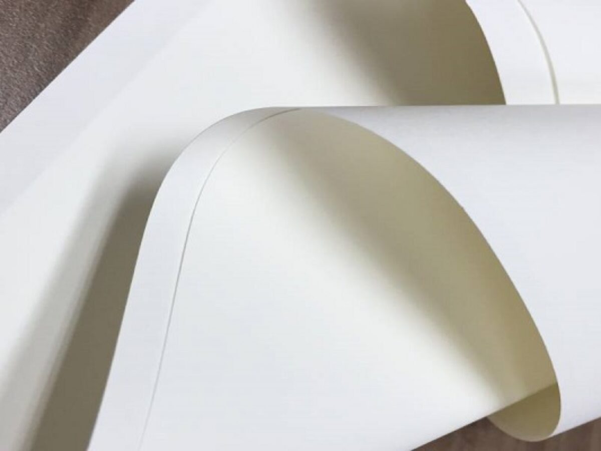 Giấy Ivory vs Giấy Couche: Chọn Loại Nào Cho Ấn Phẩm Của Bạn?