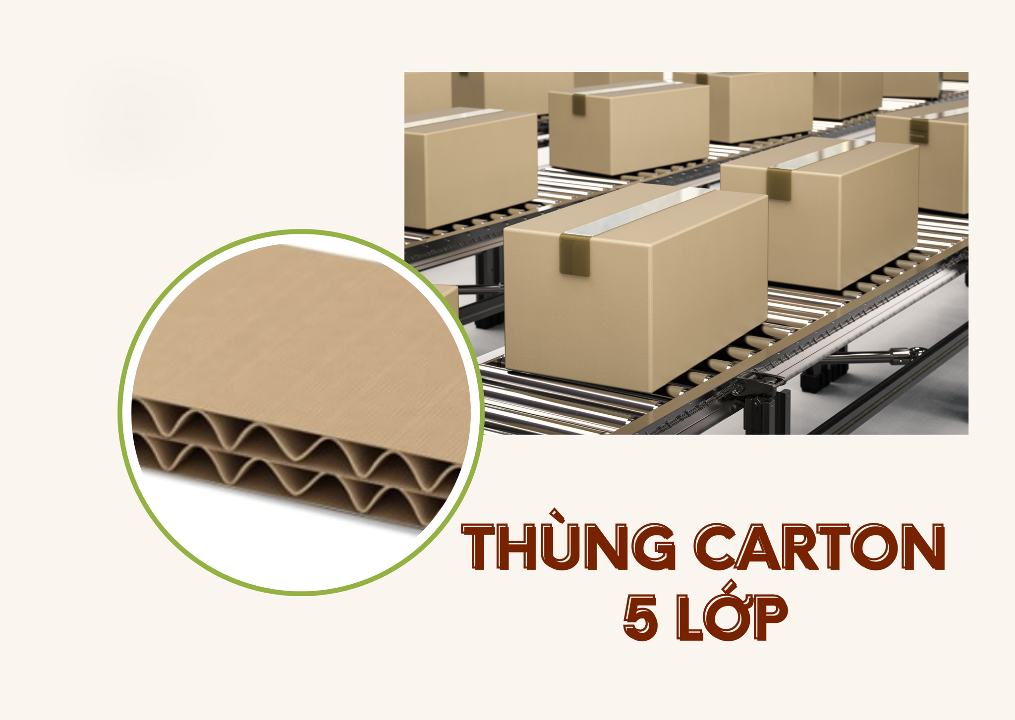 Khám phá cấu tạo ‘3 lớp’ kỳ diệu của thùng carton: Sóng giấy và mặt giấy hoạt động ra sao để bảo vệ hàng hóa?