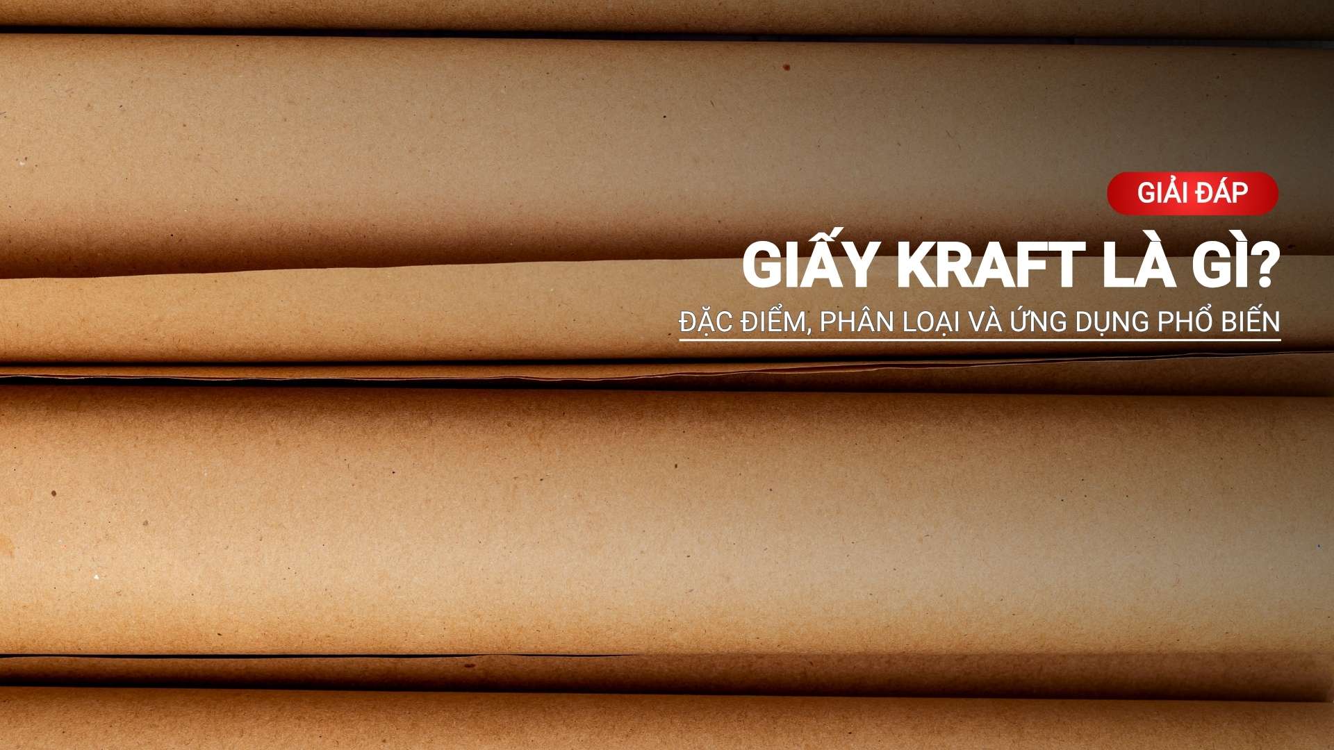 Khám Phá Giấy Kraft: Các Loại Phổ Biến và Ứng Dụng Tối Ưu Nhất