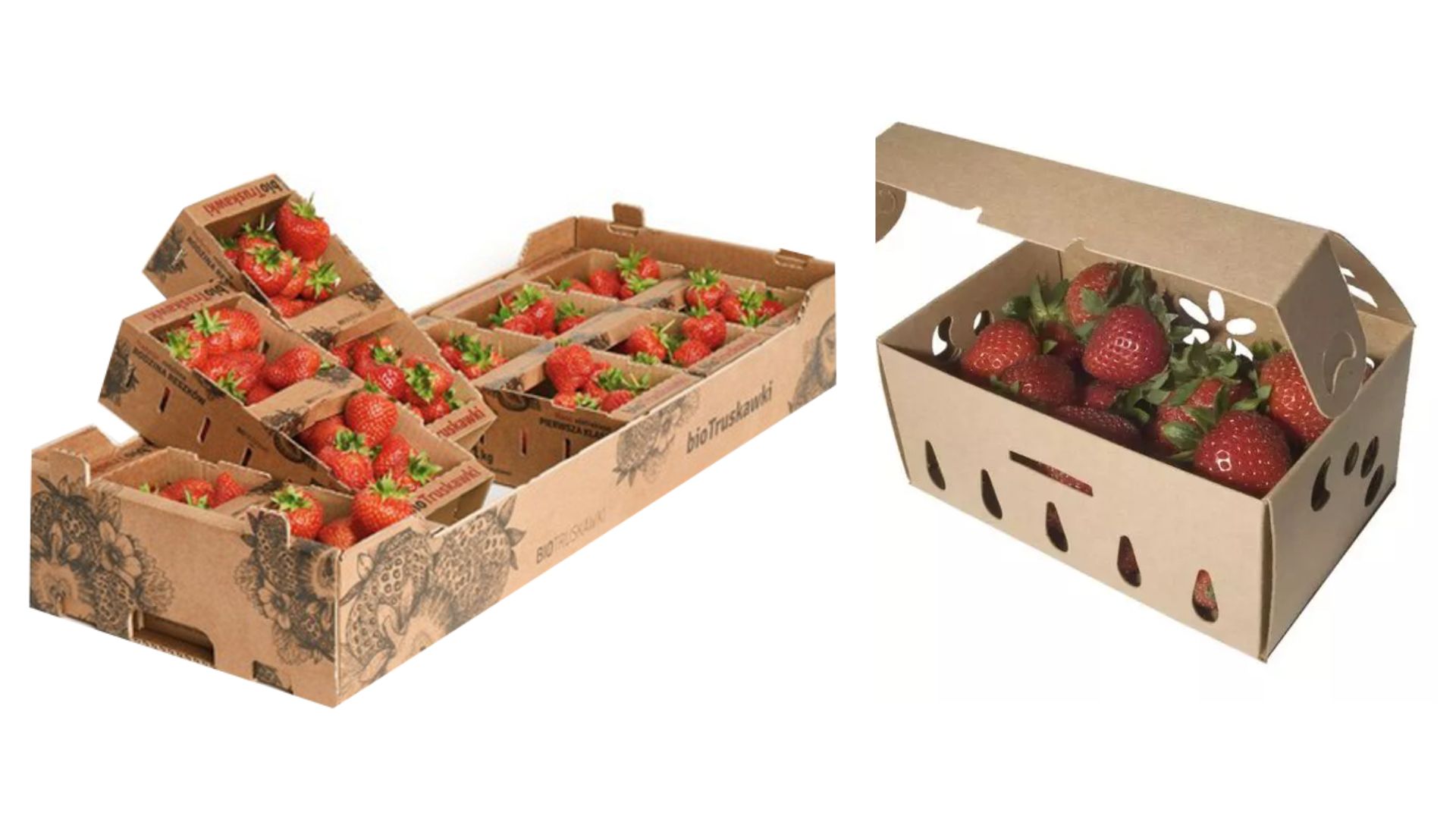 So Sánh Hộp Carton Đựng Thực Phẩm: Ưu Nhược Điểm Với Bao Bì Nhựa & Nilon