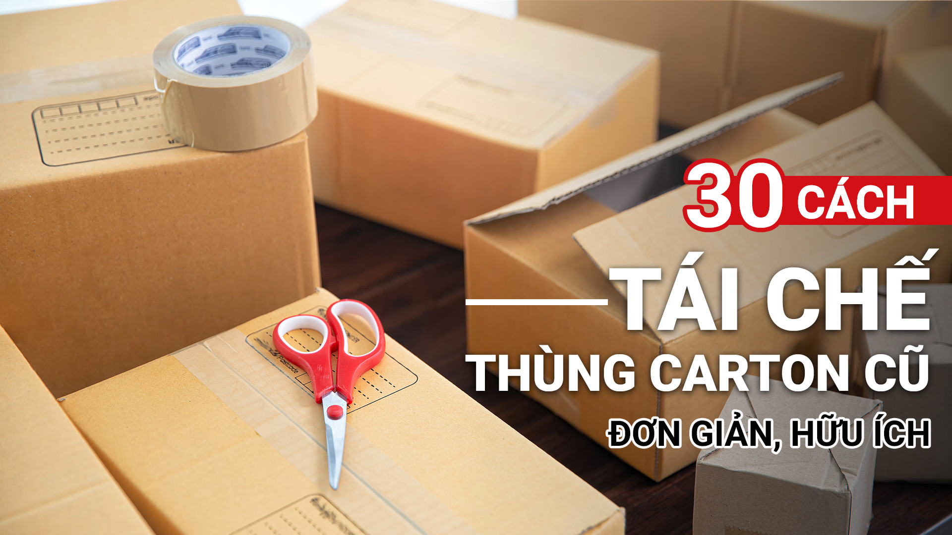 Quy Trình Tái Chế Thùng Danpla: Giải Pháp Xanh Cho Rác Thải Công Nghiệp